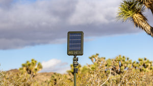 Sasquatch Outdoor Tripod Galaxy Light Solar Panel Back - Onsite Joshua Tree National Park Ca