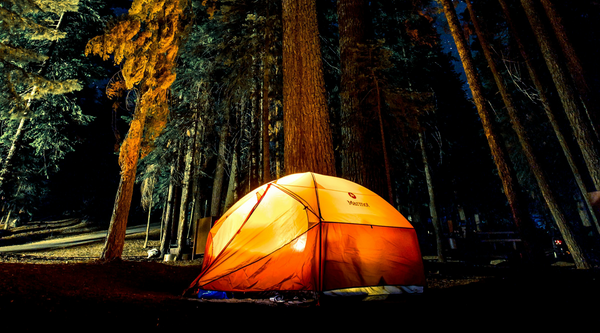 Orange camping tent illuminated in a dark forest