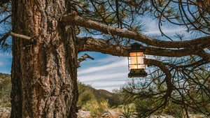 Sasquatch Outdoor Bluetooth Speaker Lit Hanging